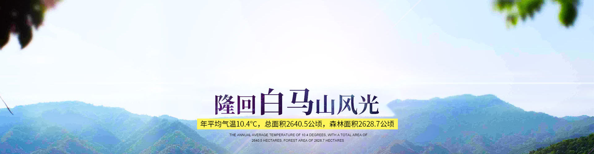 隆回县龙瑶生态旅游开发有限公司_龙瑶生态旅游|隆回县生态旅游|隆回县森林公园